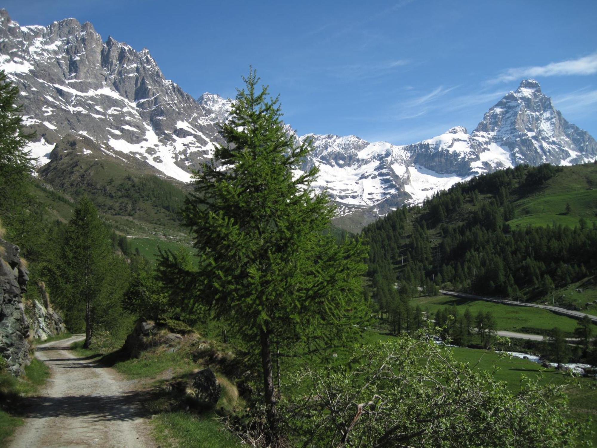 Hotel Meuble Meridiana Valtournenche Exteriér fotografie